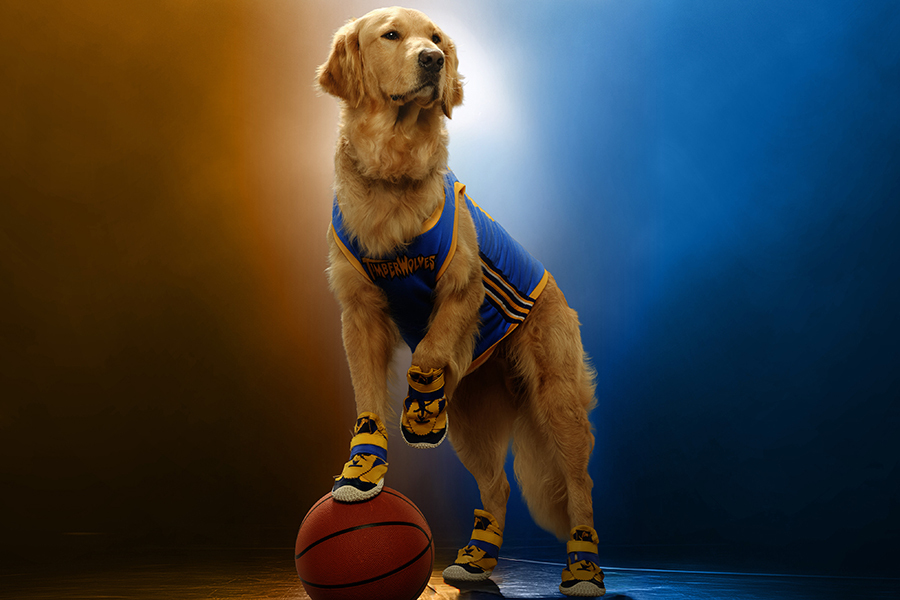 Cineverse Launching ‘Air Bud Returns’ Theatrical Release Aug. 21