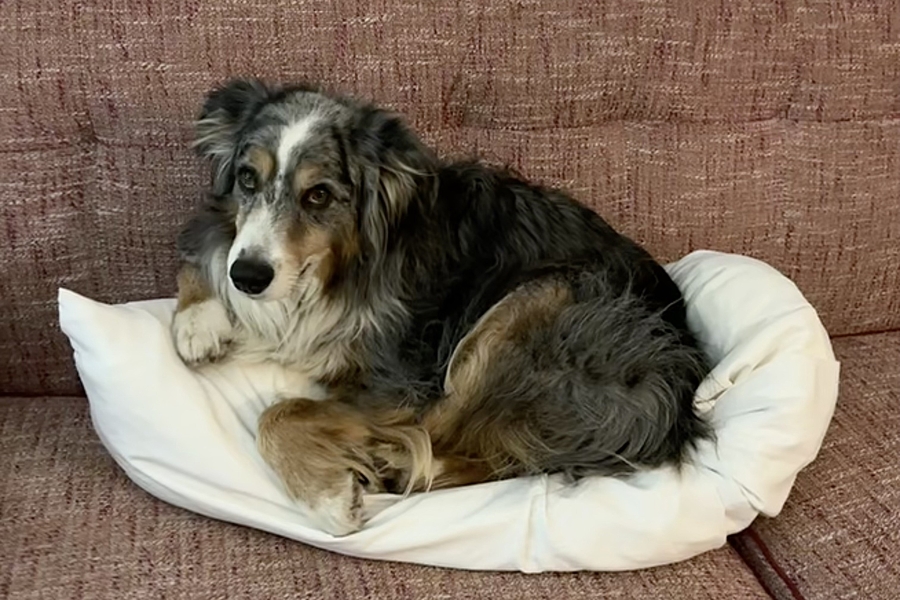 Evacuation, Anxiety, and Hope: Life During a Wildfire